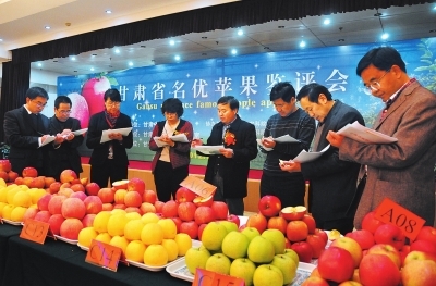 甘肅:名優(yōu)蘋果選美比賽(圖)