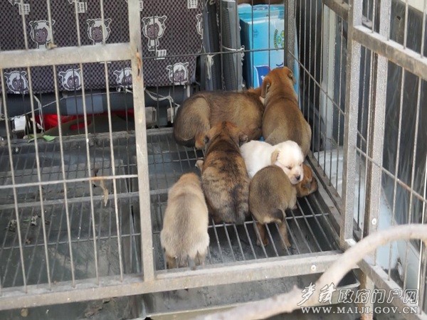 暴風(fēng)截圖20137529154703.jpg 暴風(fēng)截圖20137529154703.jpg