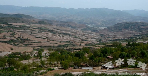 2012年中低產(chǎn)田改造項目梯田.jpg