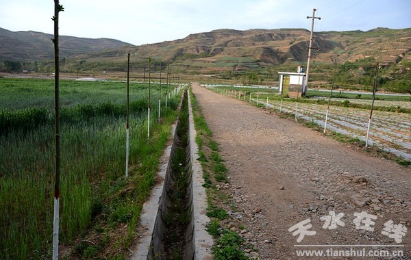 2012年高標(biāo)準(zhǔn)農(nóng)田建設(shè)項目田間道路、行道樹、支渠.jpg