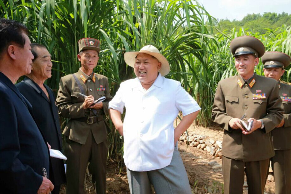 金正恩視察種子研究農(nóng)場(chǎng)(網(wǎng)頁截圖)