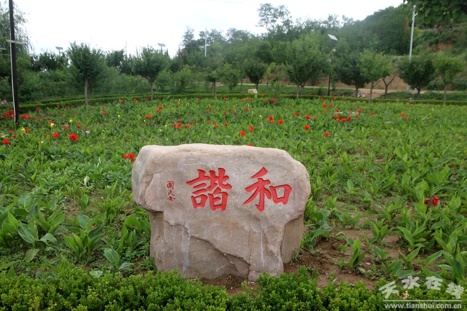 IMG_1952_副本.jpg