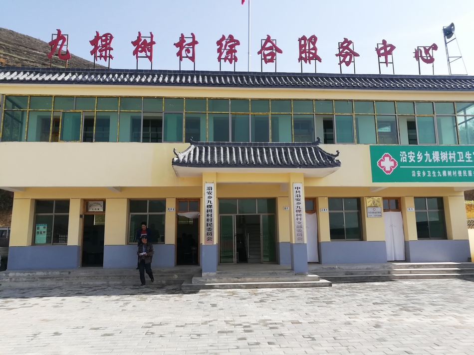 點擊查看大圖