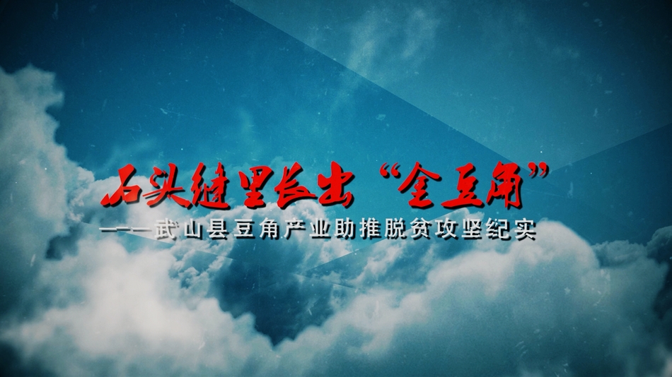 點(diǎn)擊查看大圖