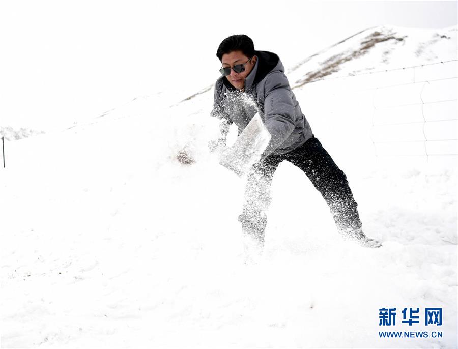 (新華全媒頭條·圖文互動(dòng))(2)風(fēng)雪中傳遞溫暖的力量——記青海干部群眾抗擊玉樹雪災(zāi)
